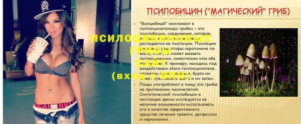 jwh Абинск