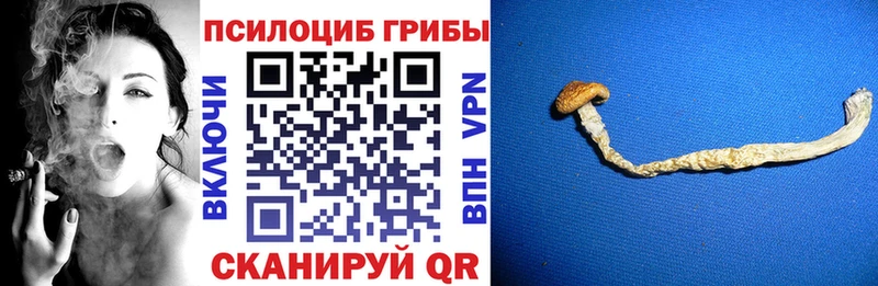 Псилоцибиновые грибы Magic Shrooms  Галич 